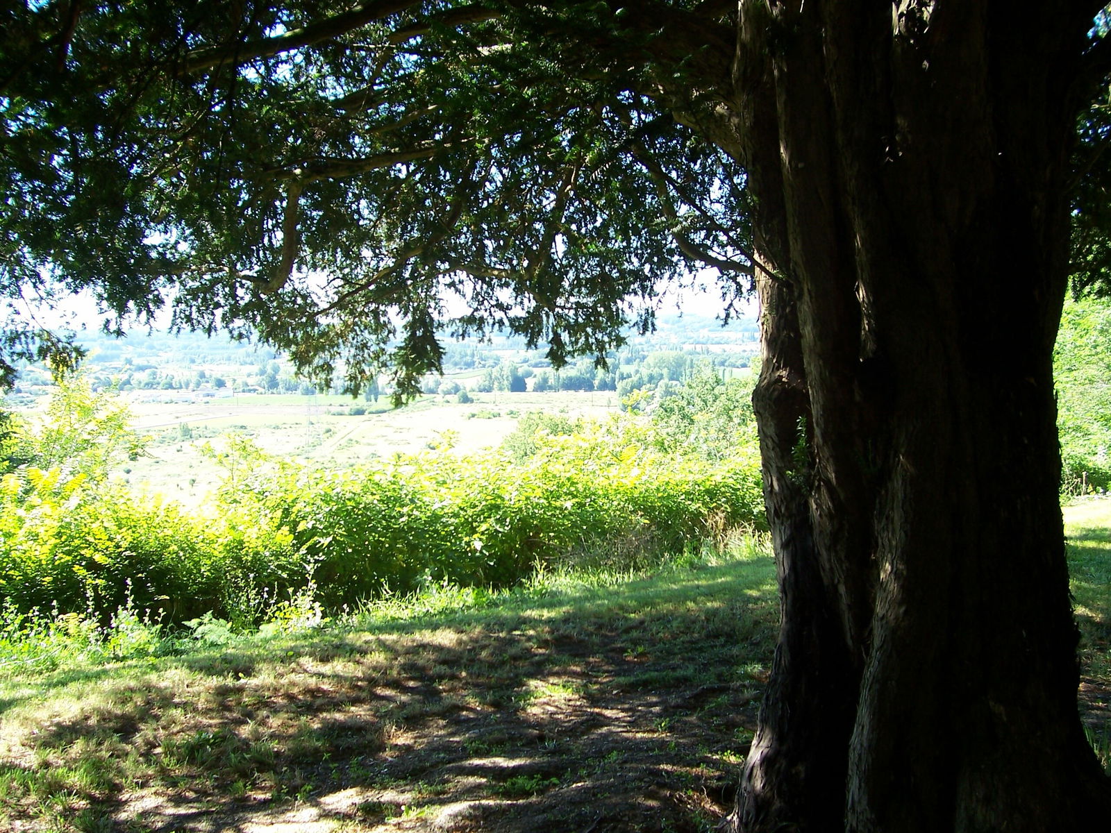 Homestay Saint-Antoine-de-Breuilh 153552