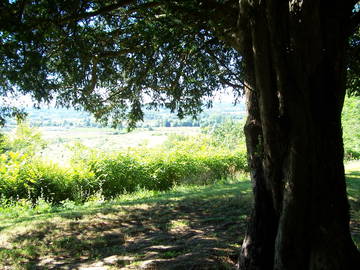 Chambre Chez L'habitant Saint-Antoine-De-Breuilh 153552-4