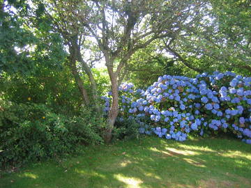 Chambre D'hôte Brélès 74103-5
