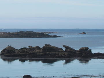 Chambre D'hôte Brélès 74103-8