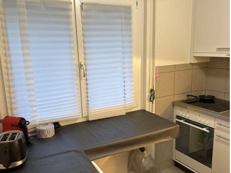 Chambre Chez L'habitant Morges 508683-3