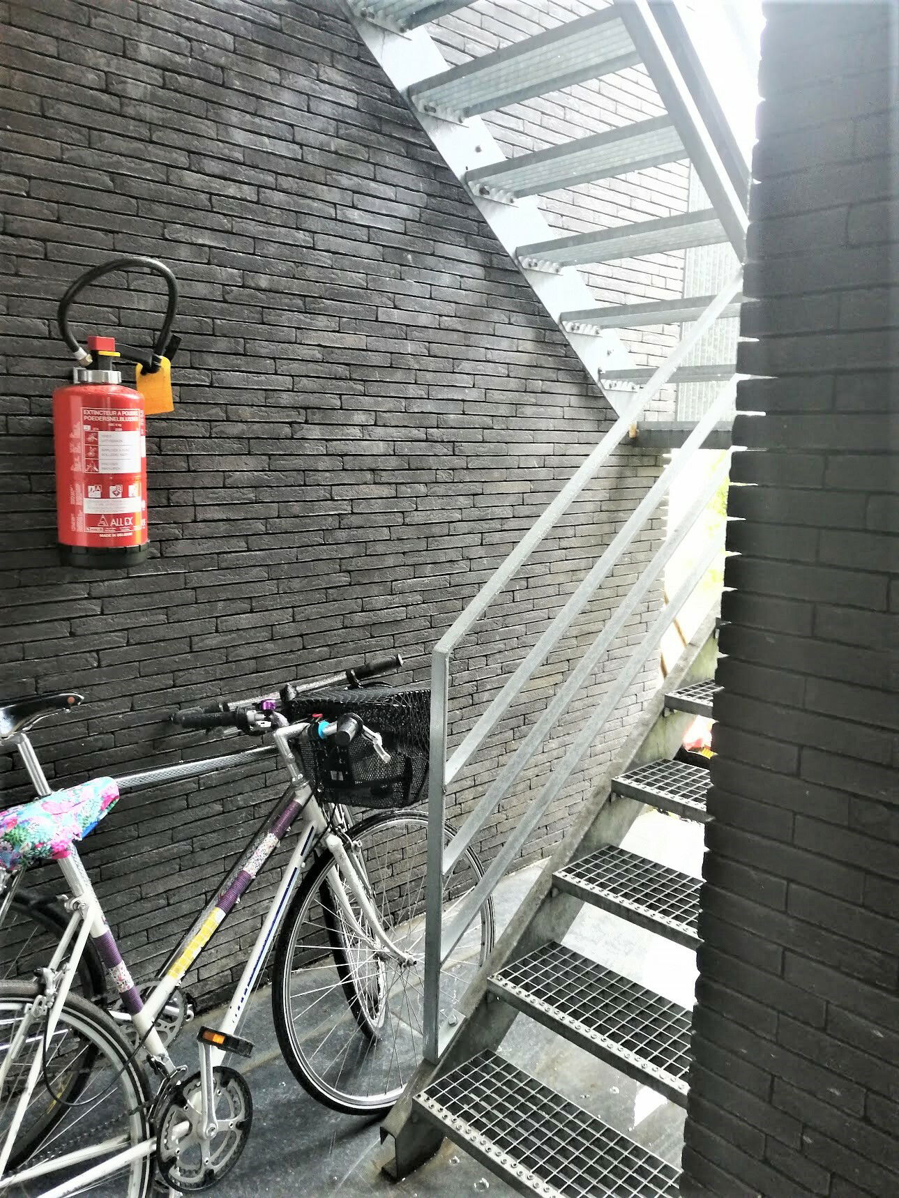 Kolokasie Schaerbeek 248686