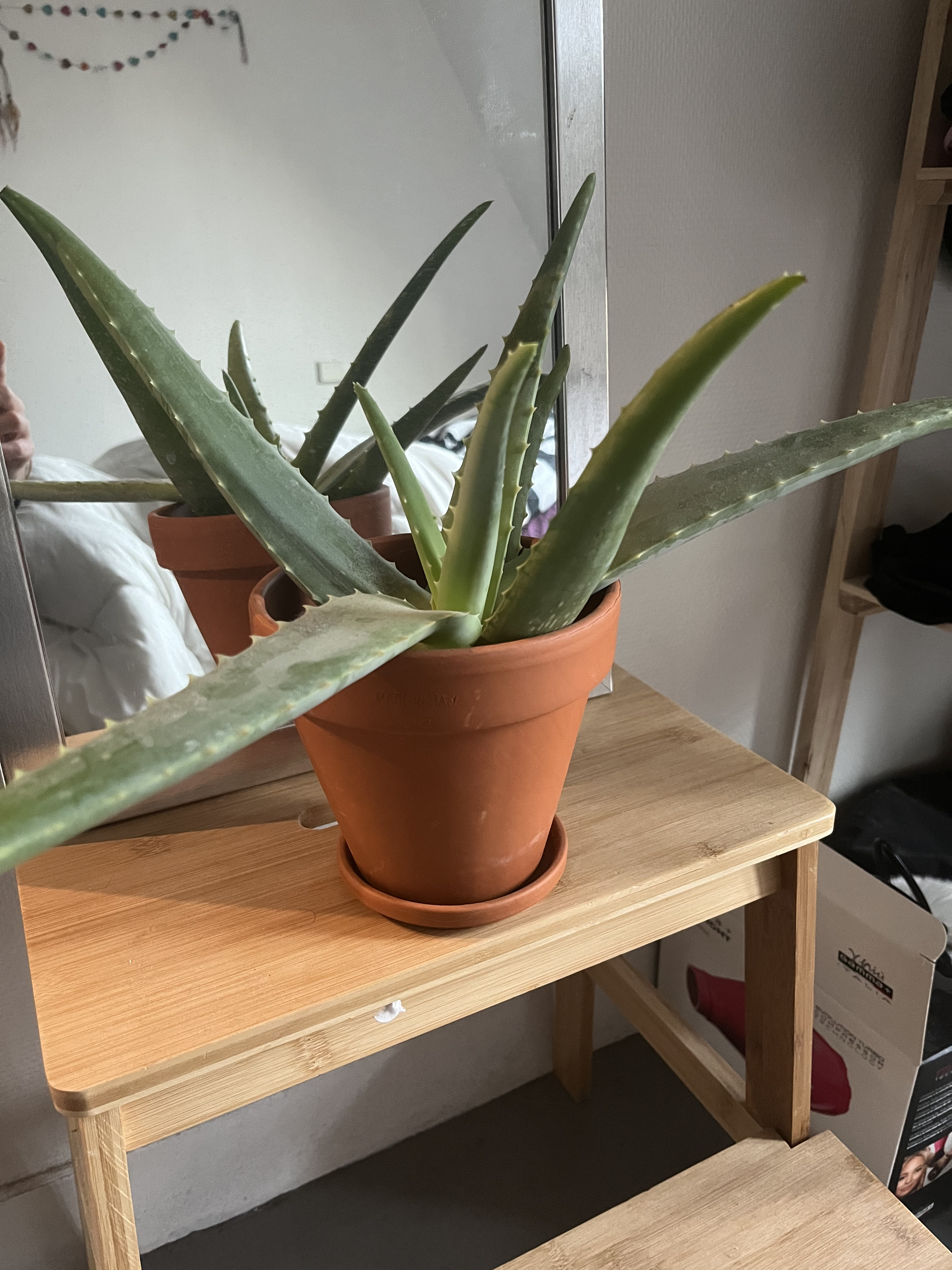 Tuisverblyf Paris 263407-2