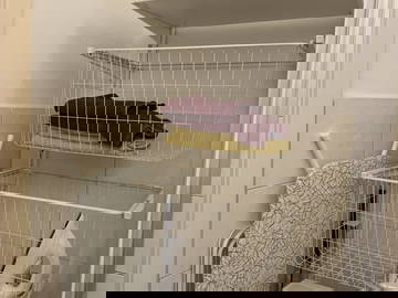 Logement Entier Meerbusch 261574-7