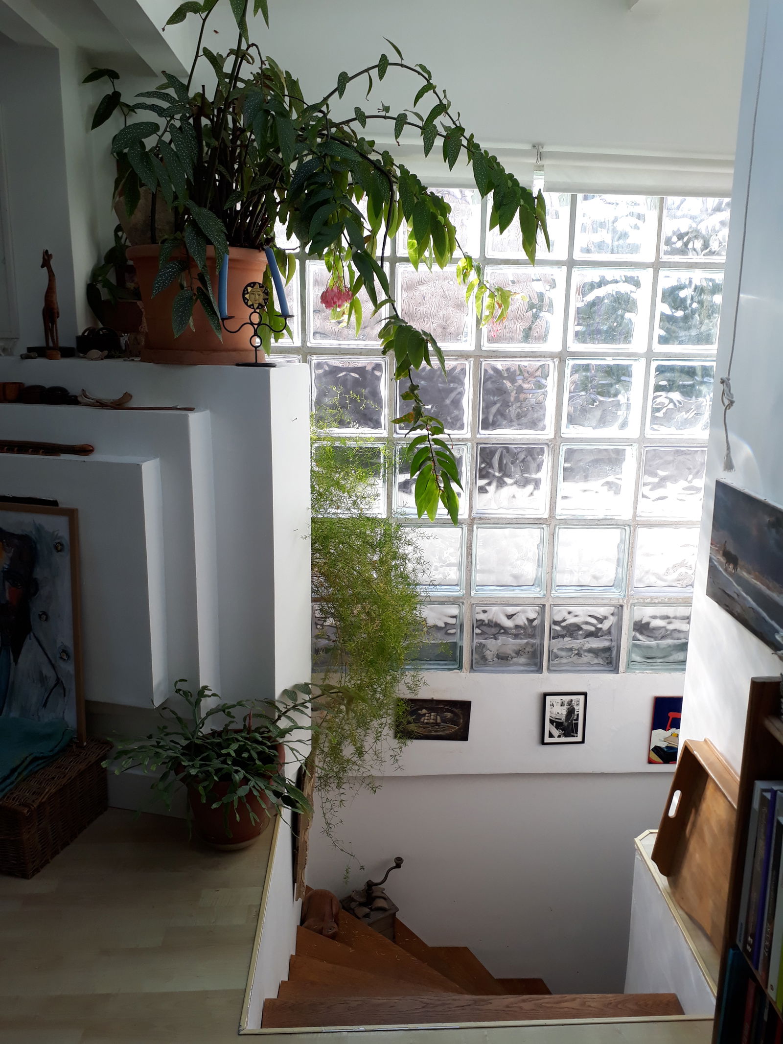 Homestay Paris 266930