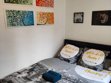 Chambre À Louer Roanne 265442