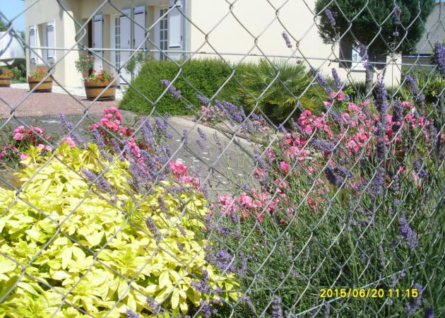 Homestay Cinais 122015