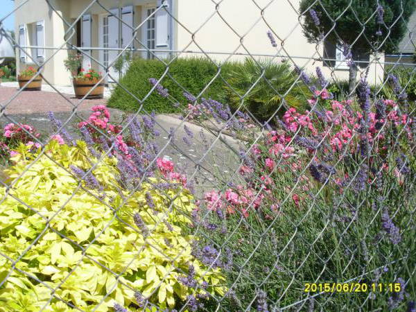 Chambre Chez L'habitant Cinais 122015-1