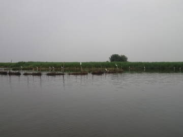 Chambre Chez L'habitant Cotonou 252586-7