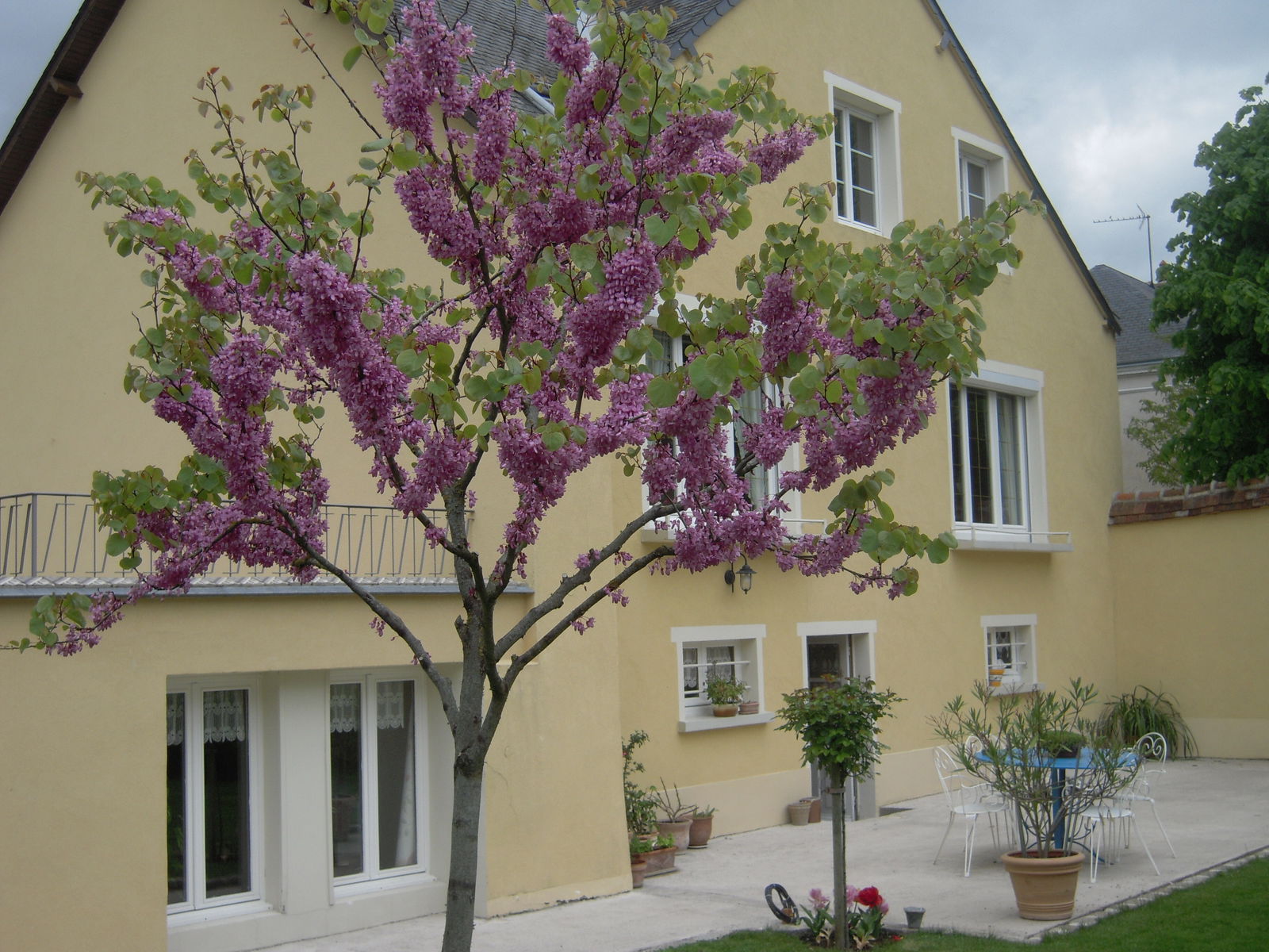 Homestay Bellême 40225