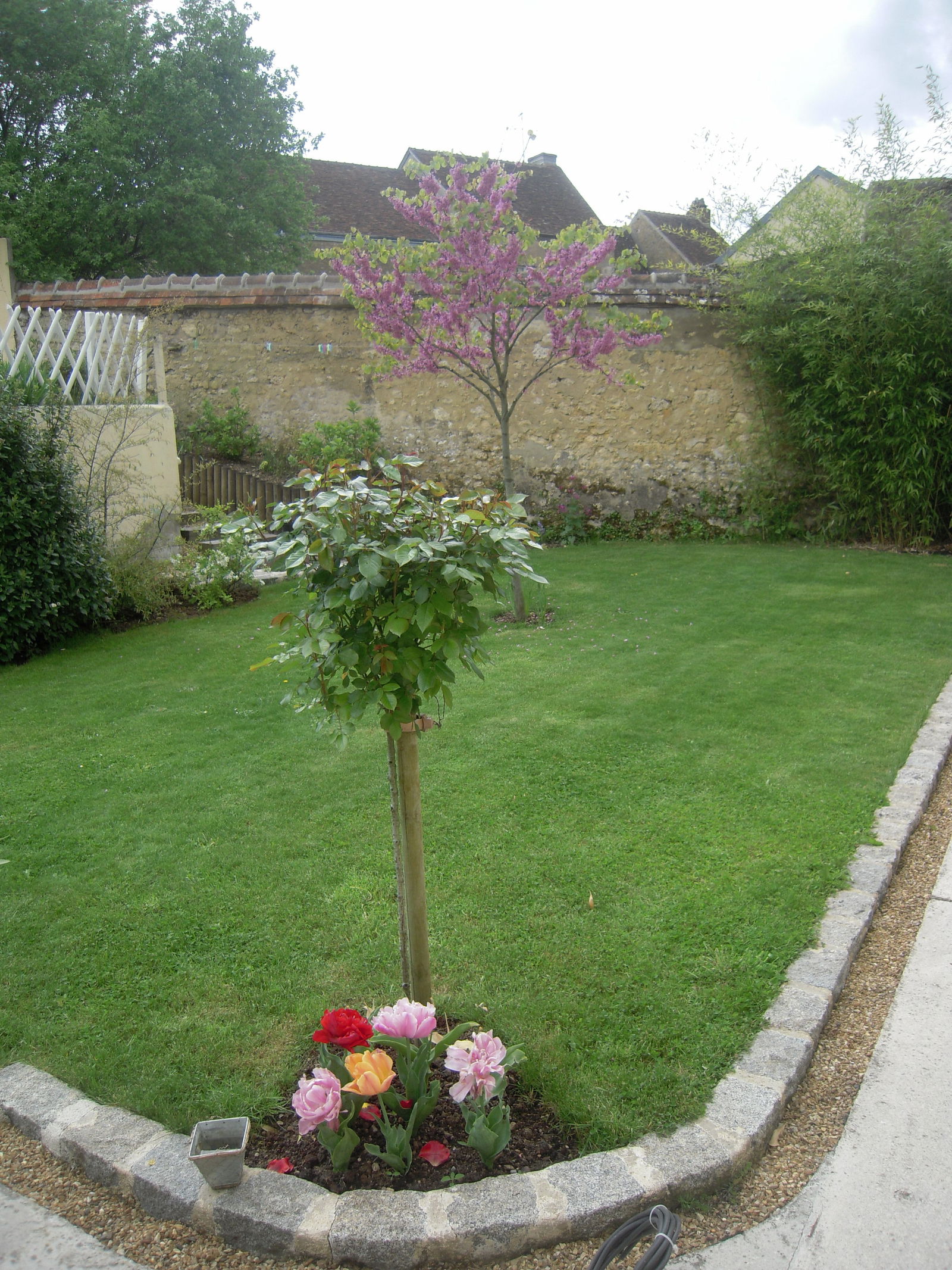Homestay Bellême 40225