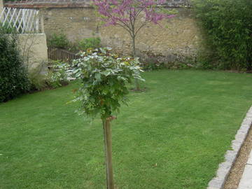 Chambre D'hôte Bellême 40225-5