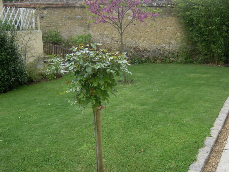 Gästezimmer Bellême 40225-5