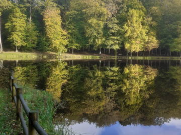 Chambre D'hôte Bellême 40225-9