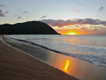 Logement Entier Caféière 216533-10