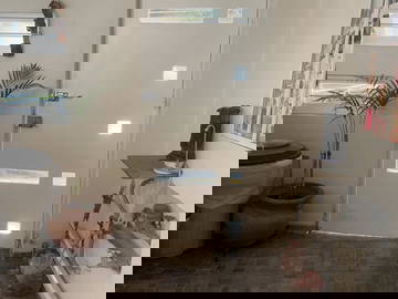 Homestay México D.f. 266874-13