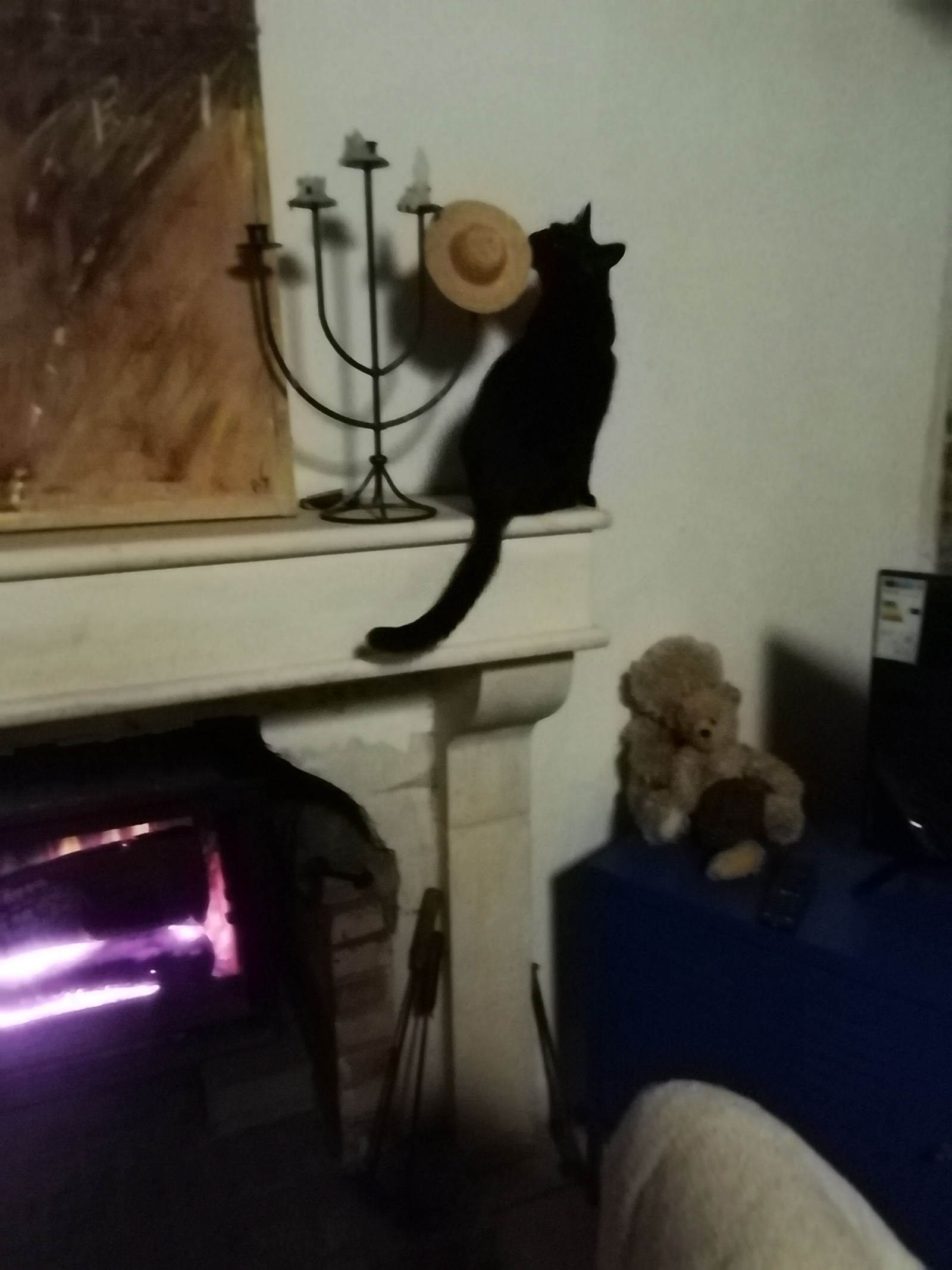 Homestay Garigny 248529