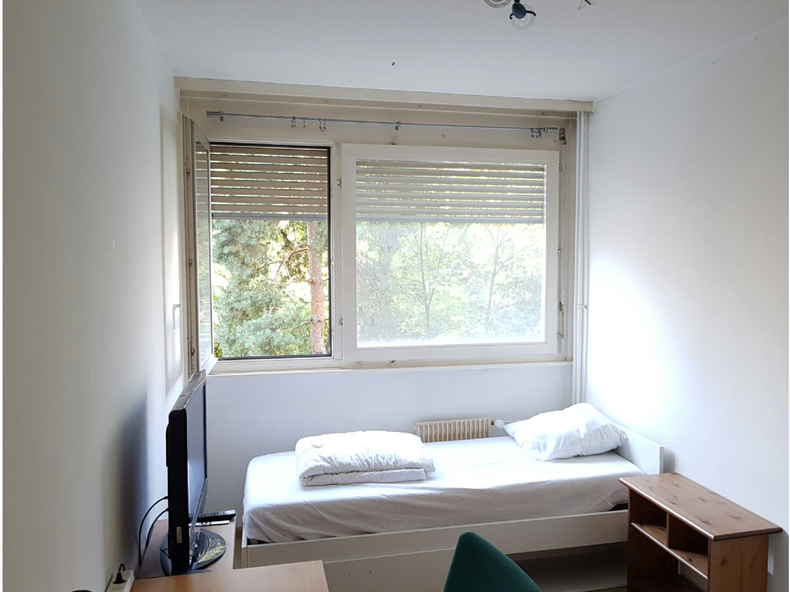 Chambre Chez L'habitant Genève 255934-1