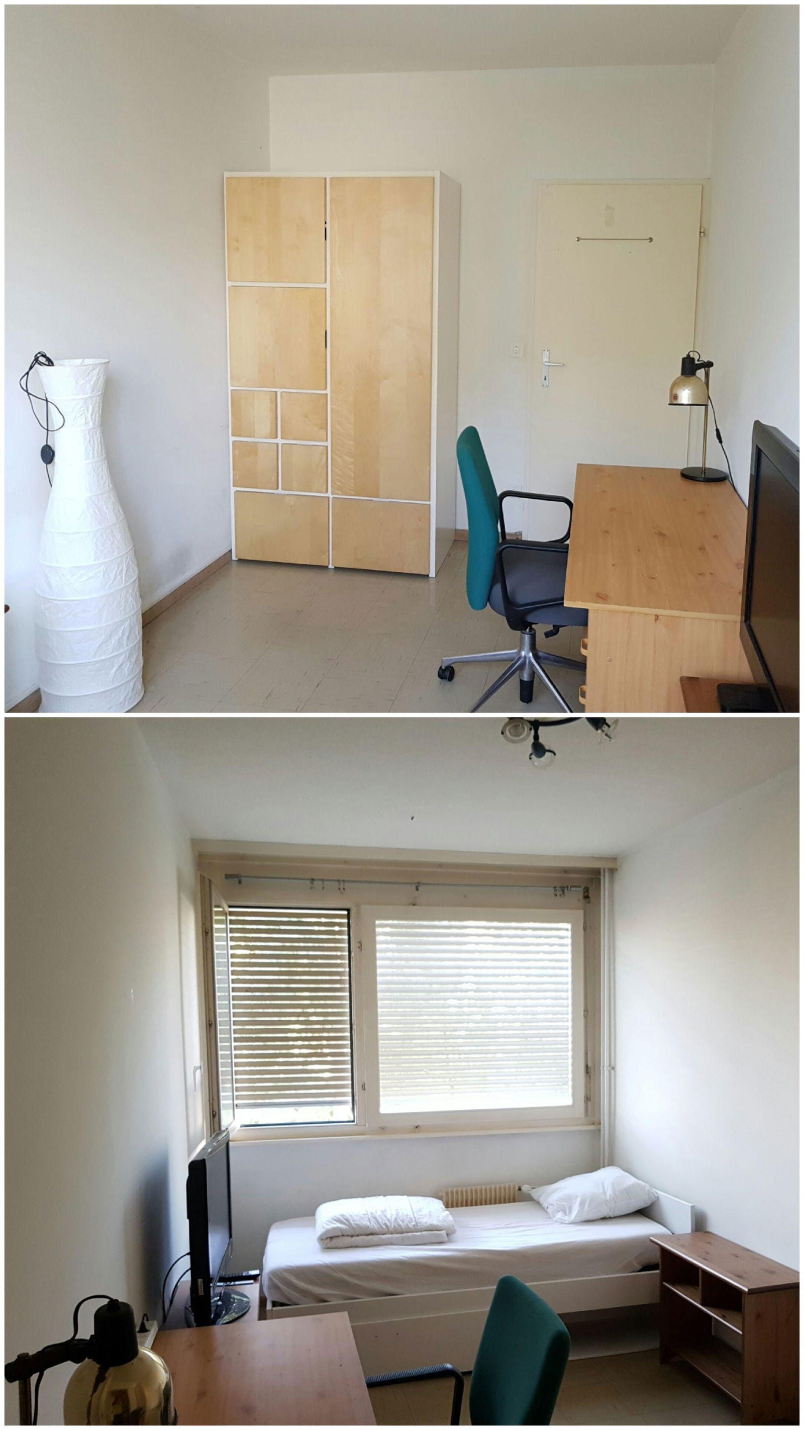 Homestay Genève 255934