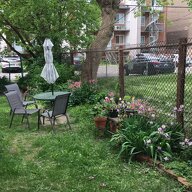 Homestay Montréal 551637