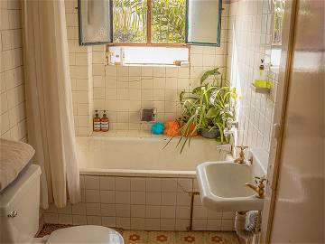 Colocation Centro 251405-5