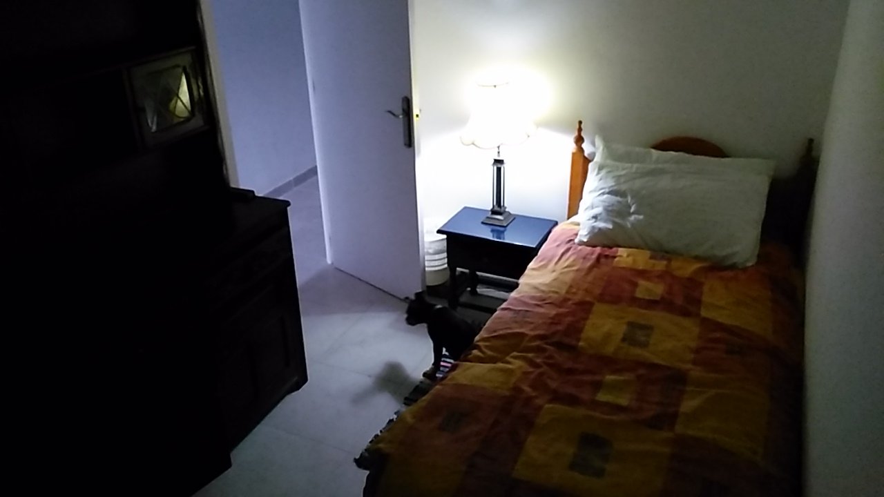 Homestay Alicante 266528