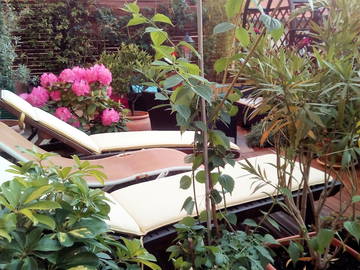 Homestay Nice 64636-5