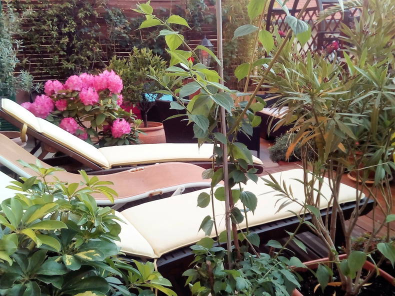 Homestay Nice 64636-5