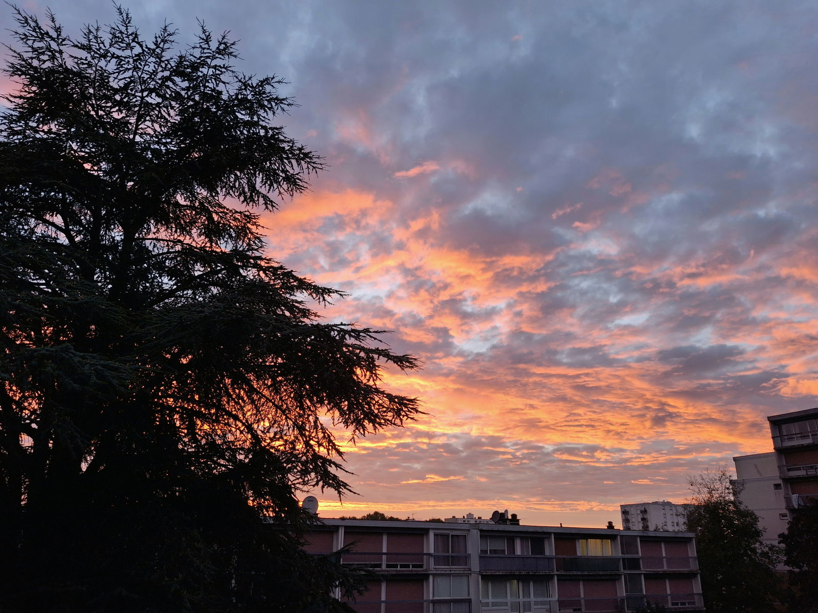 Homestay Joué-lès-Tours 656884