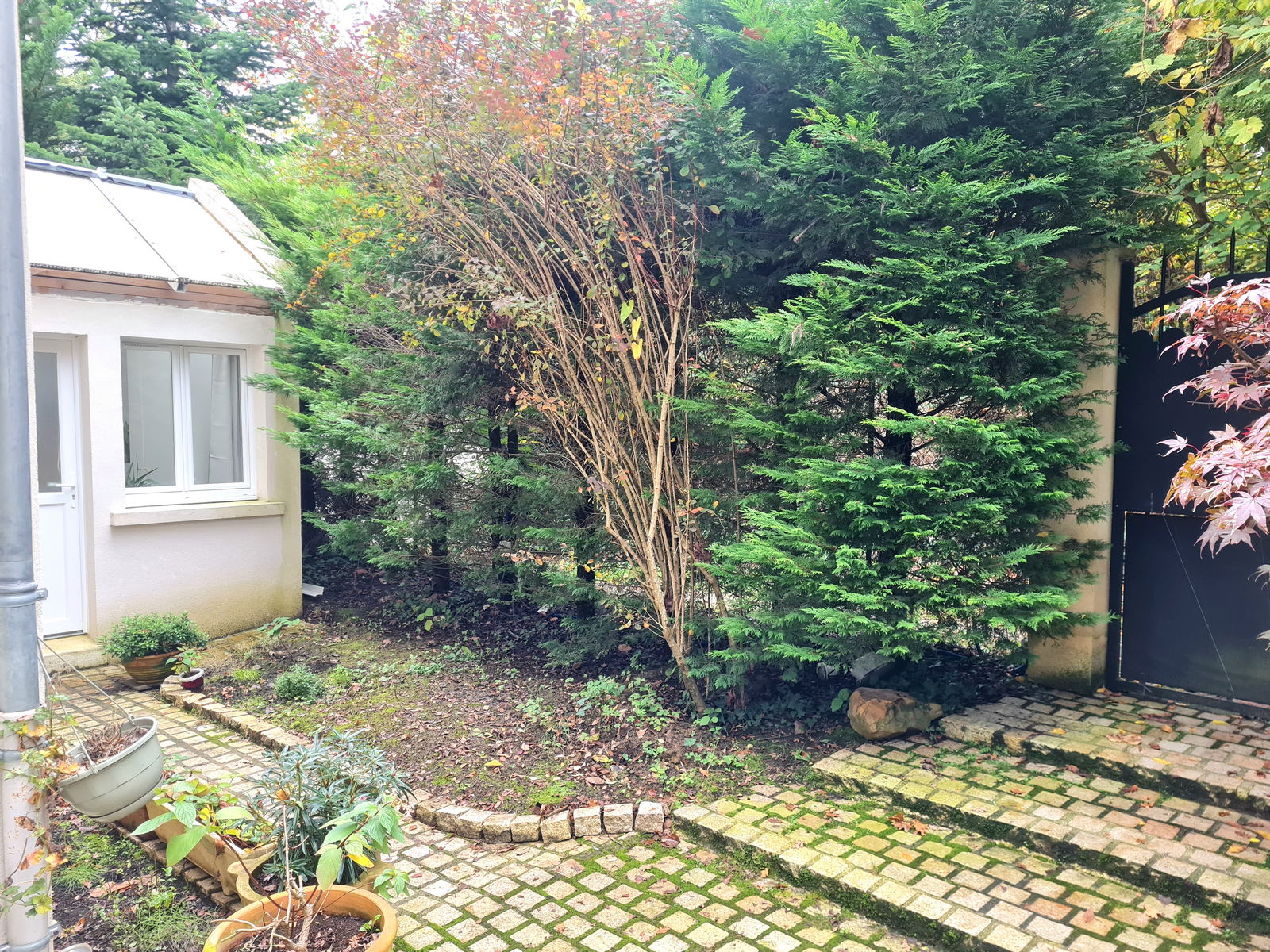 Independent Studio Seugy 450921