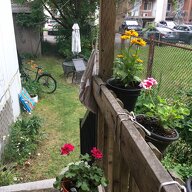 Homestay Montréal 551637