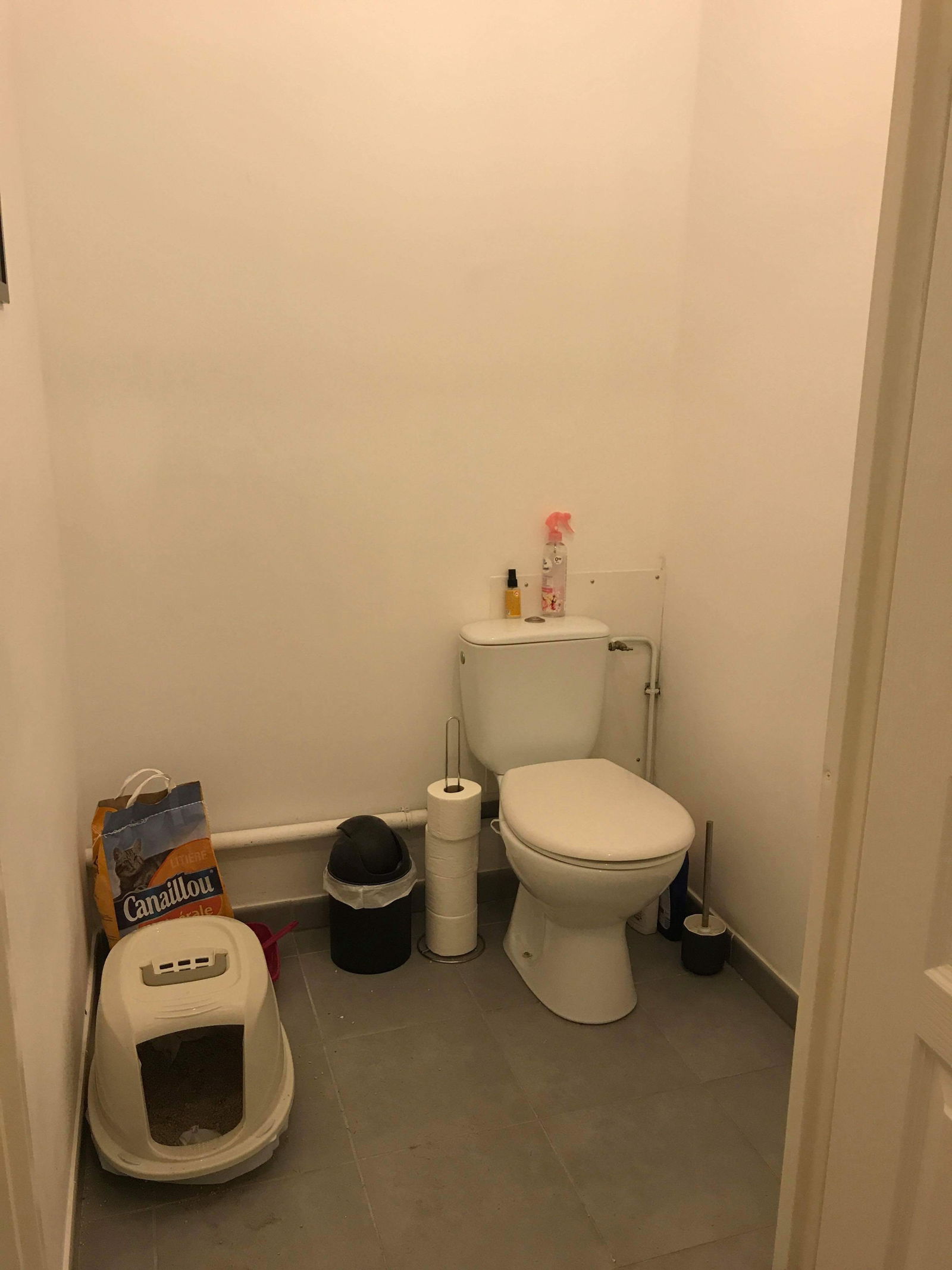 Colocation Toulouse 190801