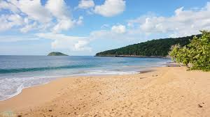 Uafhængigt Studie Deshaies 461264