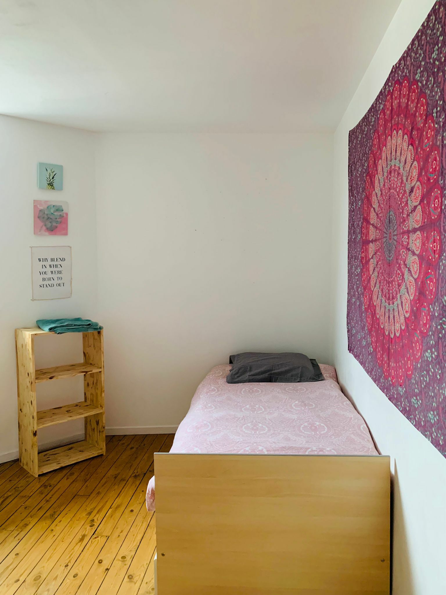 Colocation Cambrai 257084