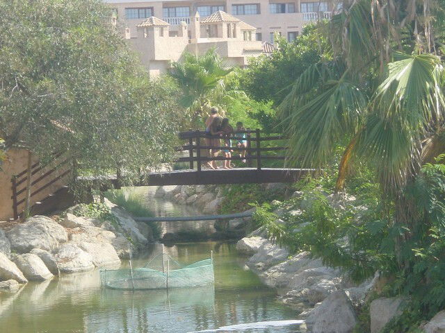 Uafhængigt Studie Cadix 104046