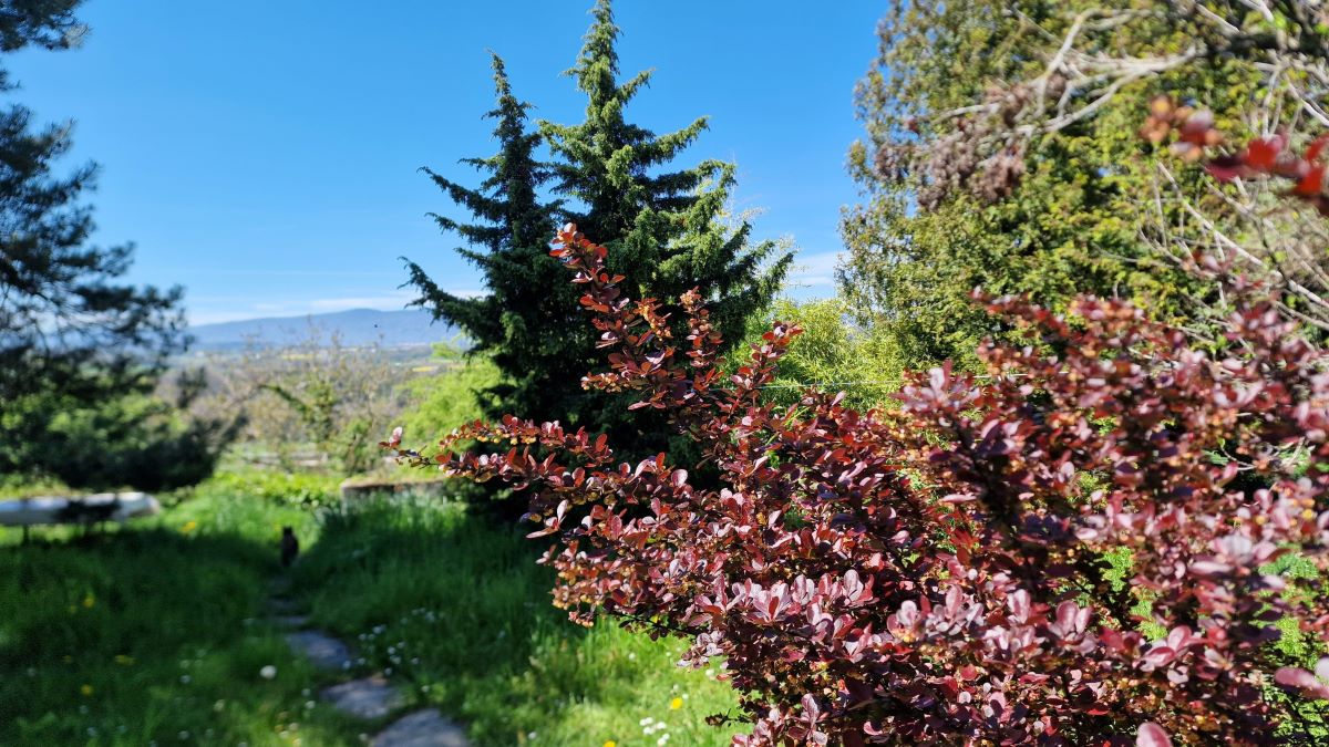 Colocation Vufflens-la-Ville 442275