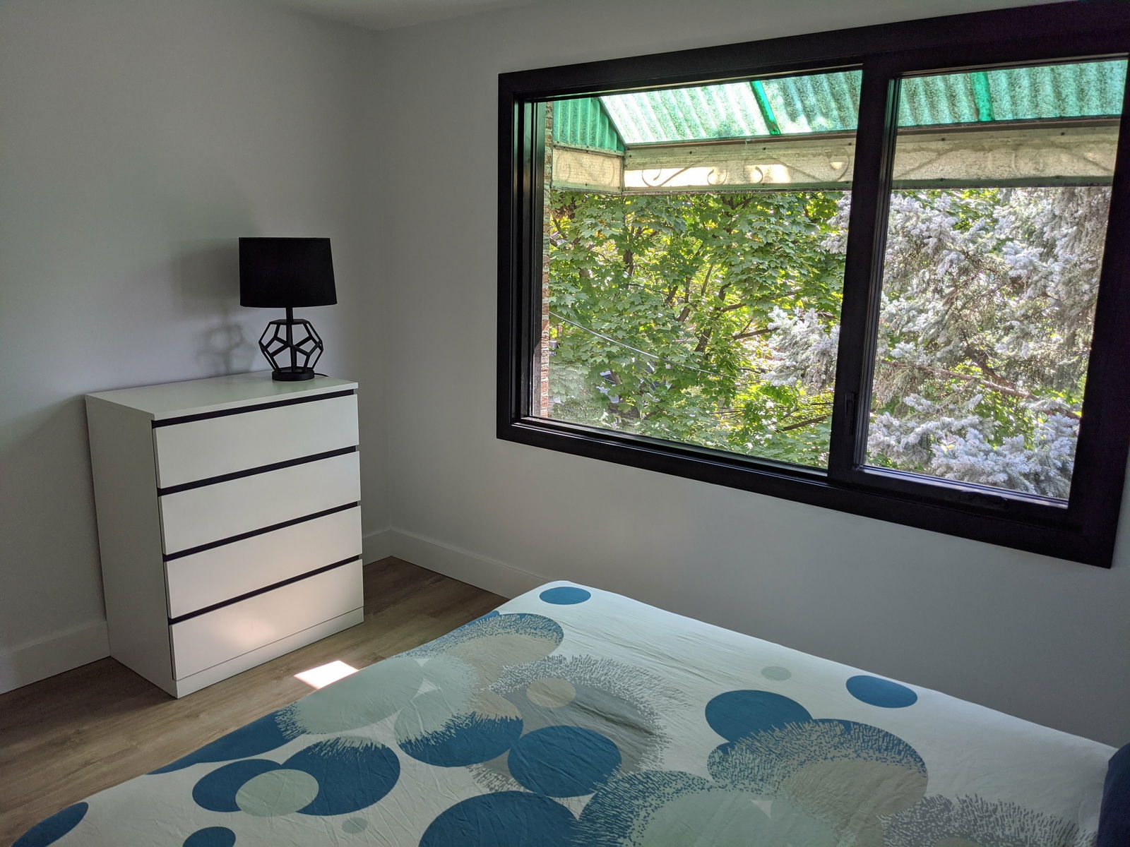 Colocation Montréal 241354