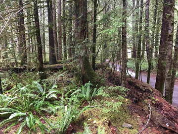 Toda La Casa Deming 206137-10