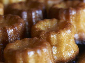 Chambre D'hôte Les Esseintes 114577-6