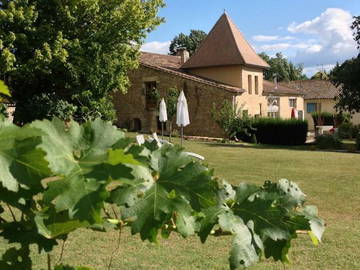 Chambre D'hôte Les Esseintes 114577-7