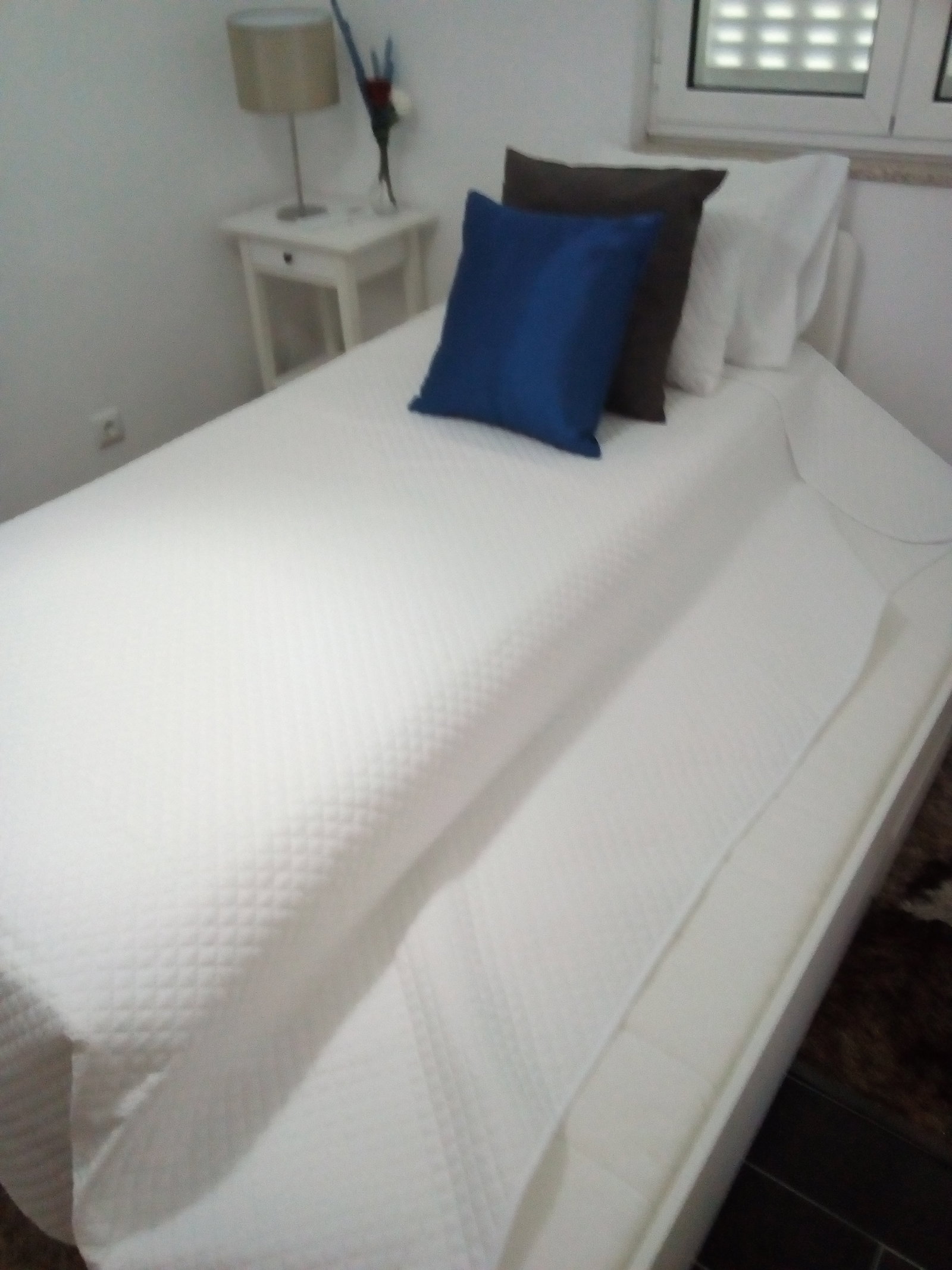 Entire Home Viana do Castelo 239211