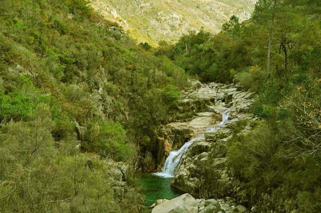 Entire Home Viana do Castelo 239211