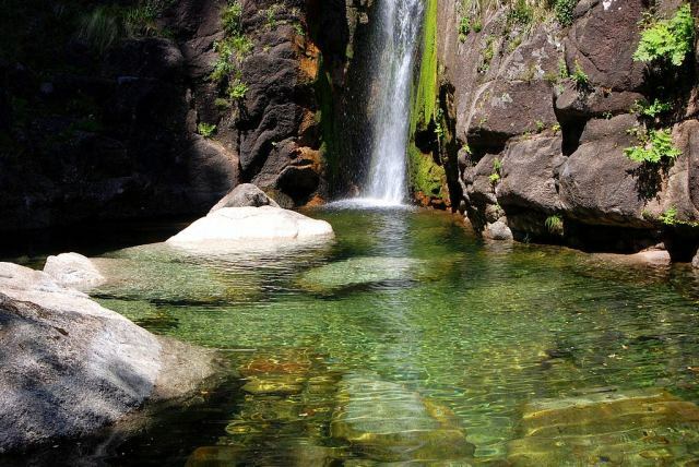 Entire Home Viana do Castelo 239212