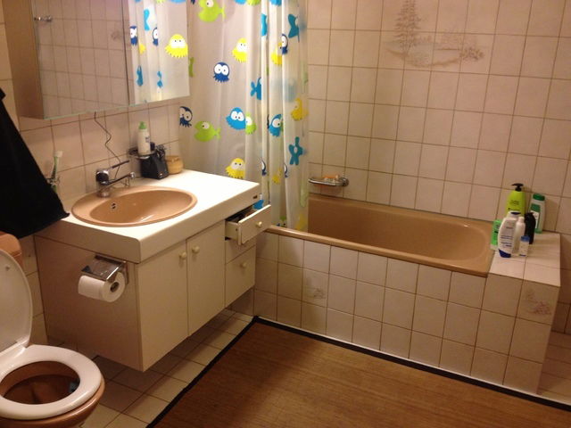 Colocation Crissier 46273