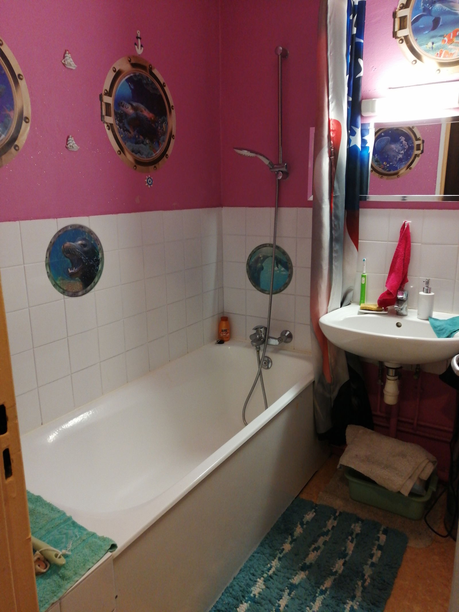 Colocation Colmar 250031