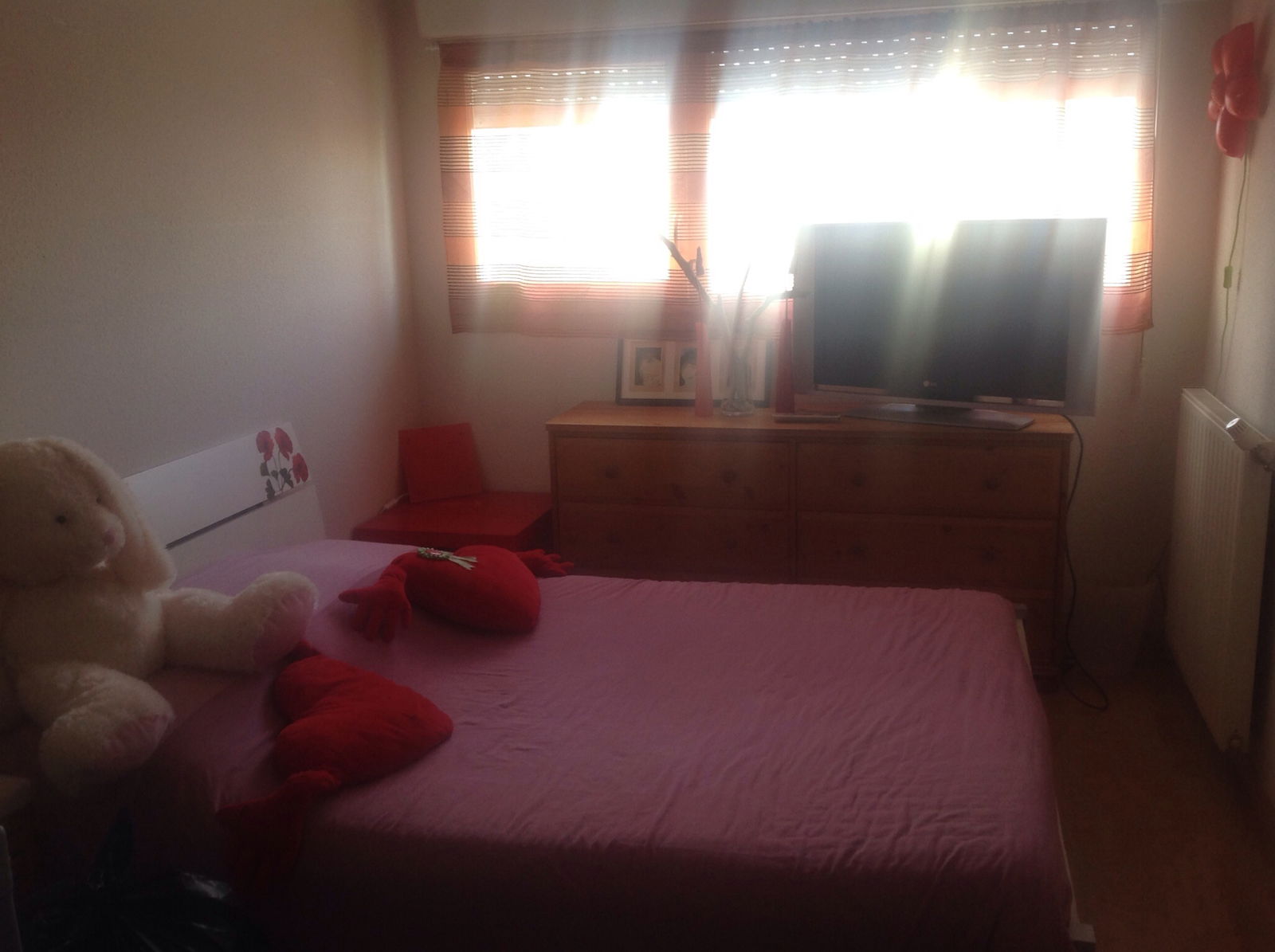 Colocation Bruges 81747