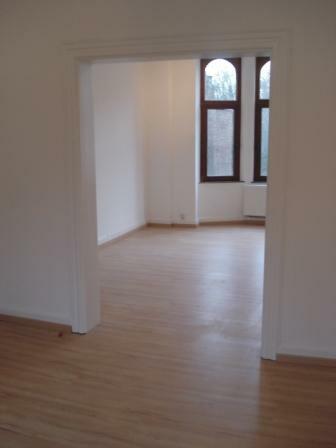 Colocation Forest 106265