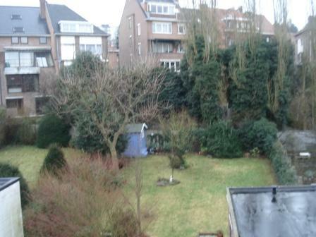 Colocation Forest 106265