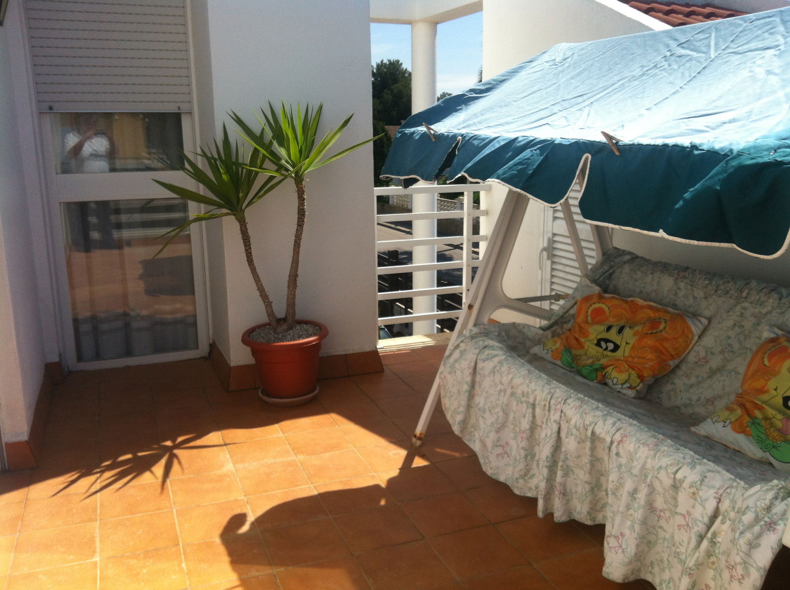 Colocation Son Ferrer 72319