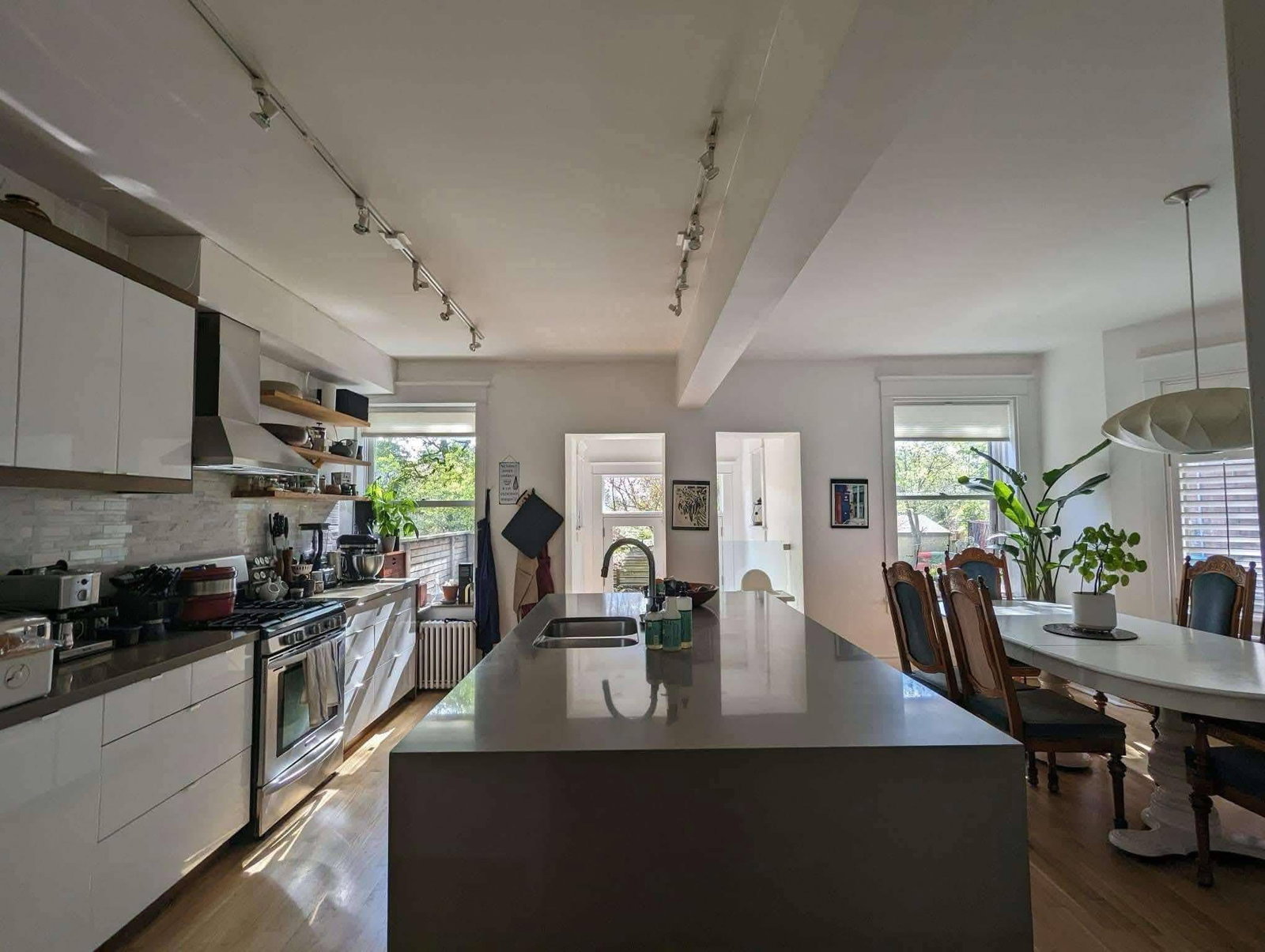 Kolokasie Toronto 663761